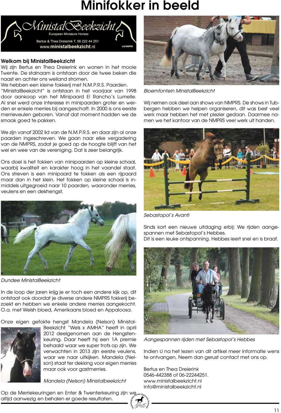 Al snel werd onze interesse in minipaarden groter en werden er enkele merries bij aangeschaft. In 2000 is ons eerste merrieveulen geboren. Vanaf dat moment hadden we de smaak goed te pakken.