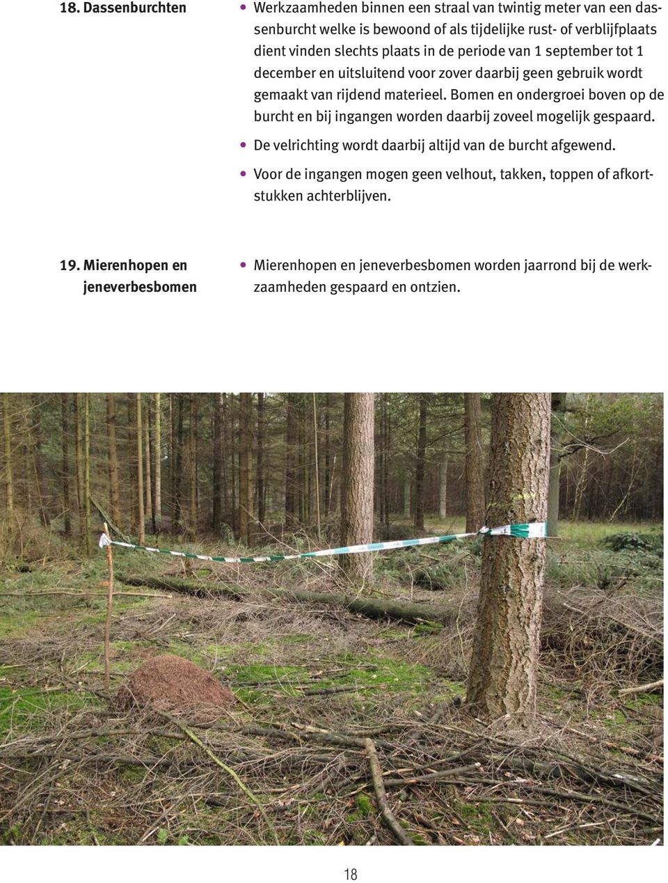 Bomen en ondergroei boven op de burcht en bij ingangen worden daarbij zoveel mogelijk gespaard. De velrichting wordt daarbij altijd van de burcht afgewend.