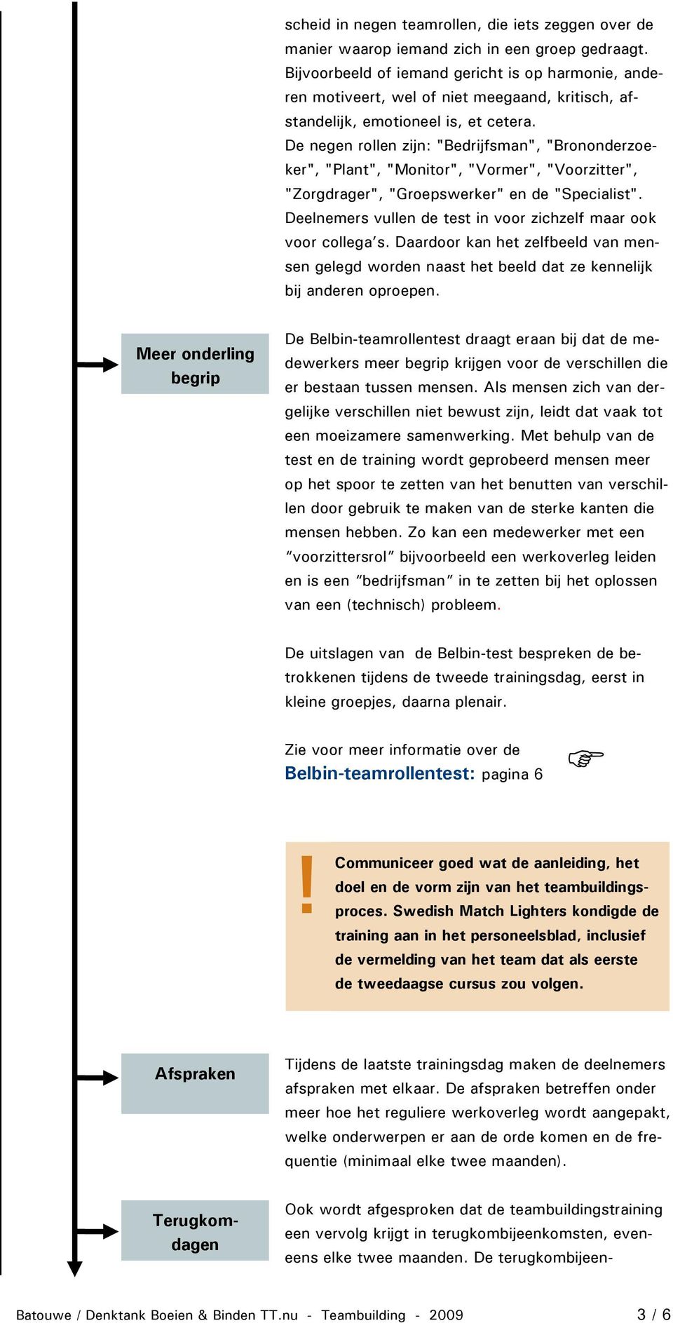 De negen rollen zijn: "Bedrijfsman", "Brononderzoeker", "Plant", "Monitor", "Vormer", "Voorzitter", "Zorgdrager", "Groepswerker" en de "Specialist".