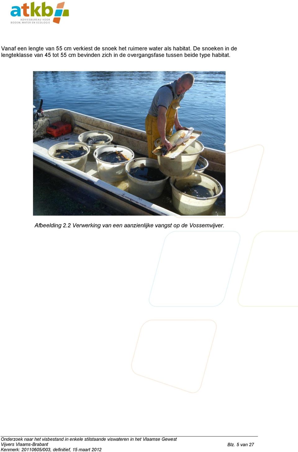 habitat. Afbeelding 2.2 Verwerking van een aanzienlijke vangst op de Vossemvijver.