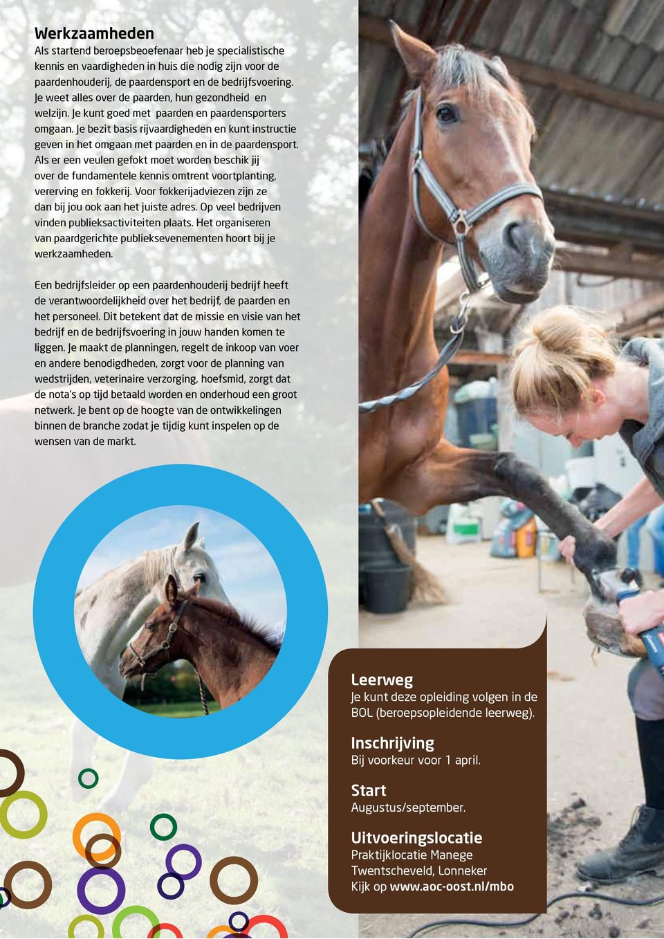 Je bezit basis rijvaardigheden en kunt instructie geven in het omgaan met paarden en in de paardensport.