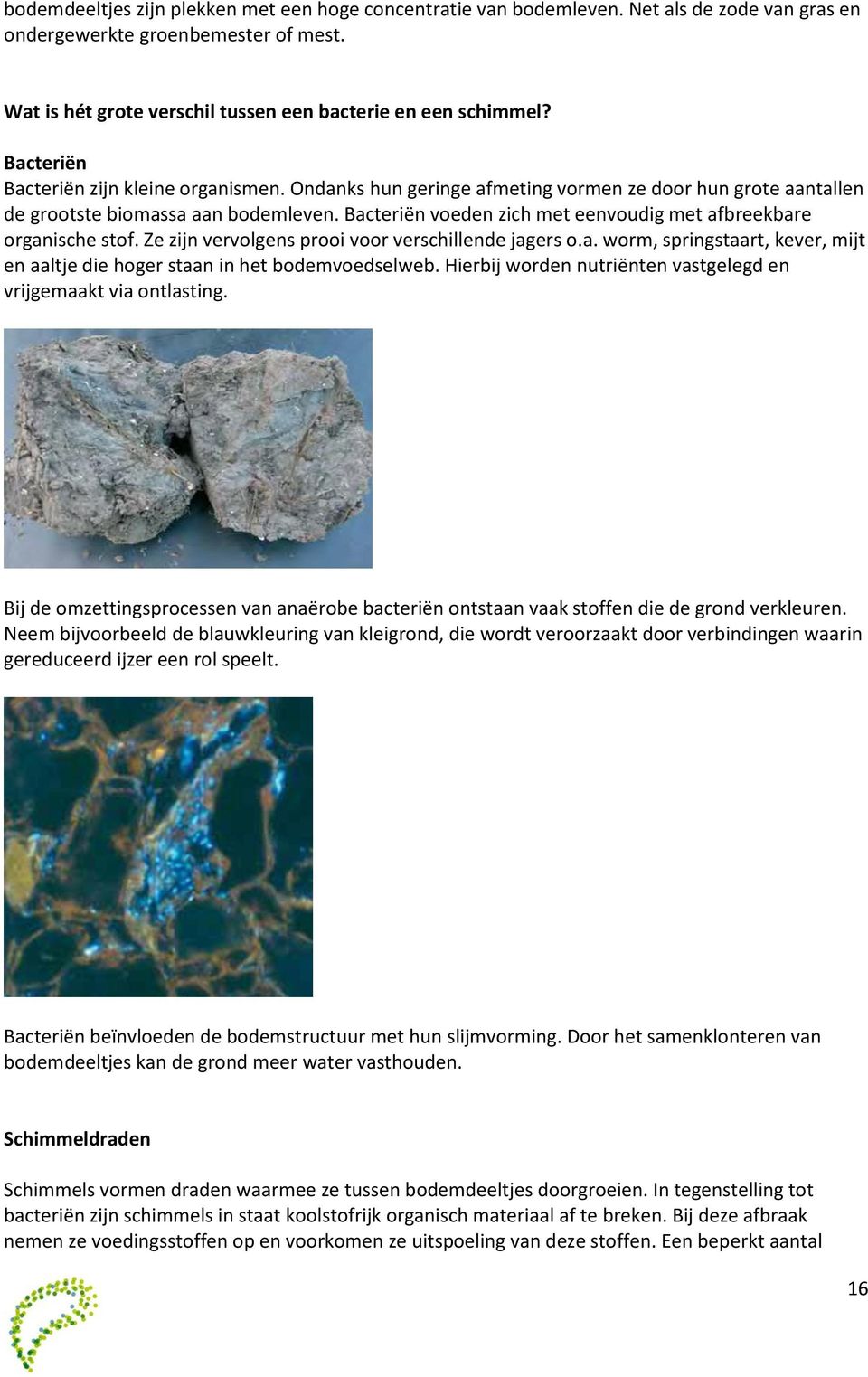 Bacteriën voeden zich met eenvoudig met afbreekbare organische stof. Ze zijn vervolgens prooi voor verschillende jagers o.a. worm, springstaart, kever, mijt en aaltje die hoger staan in het bodemvoedselweb.