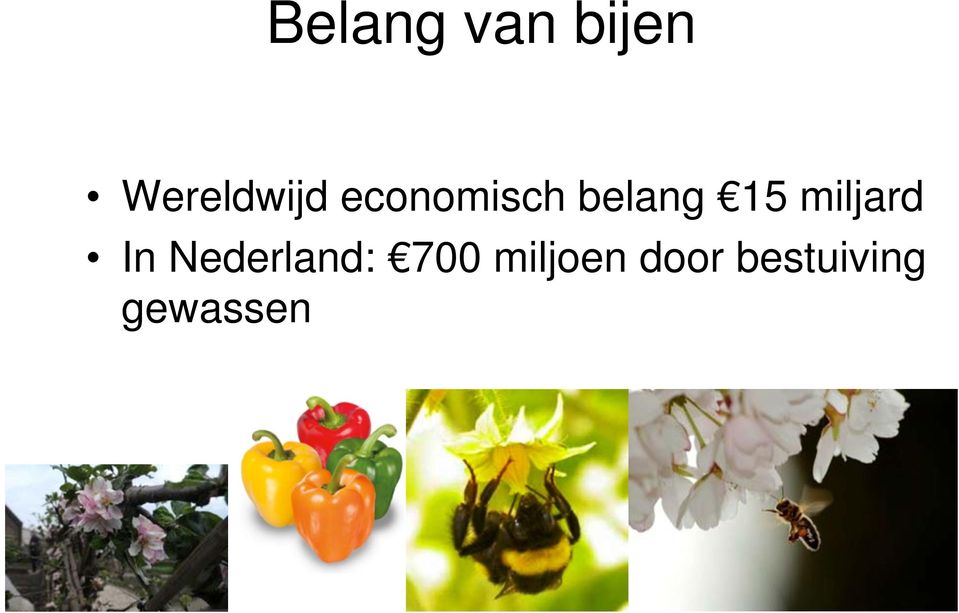 belang 15 miljard In