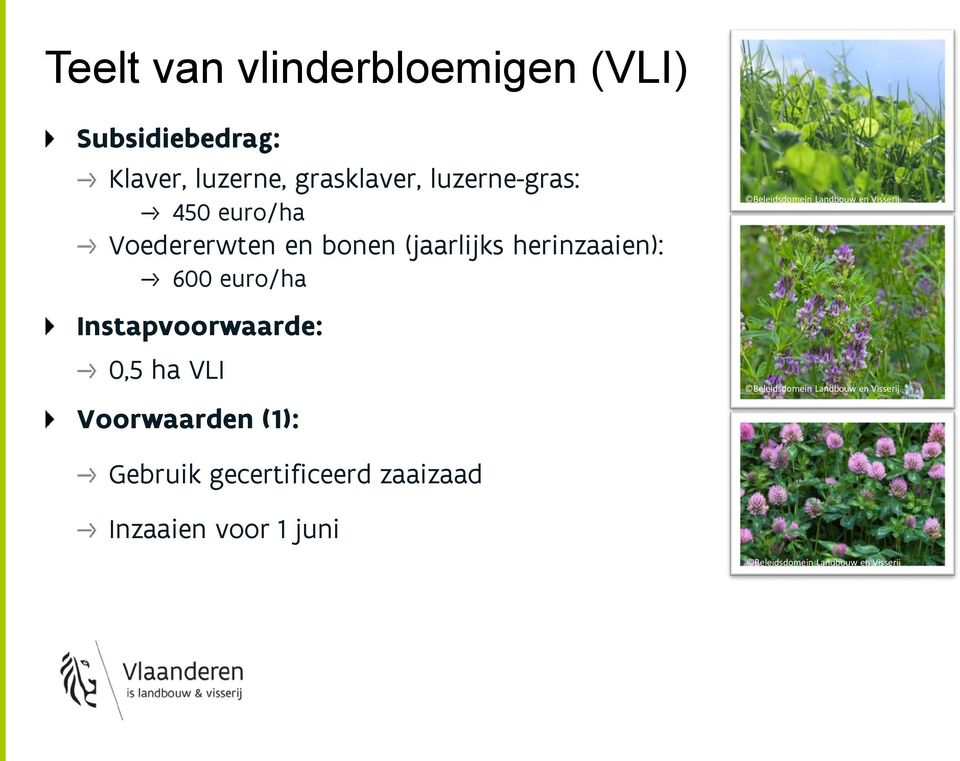 Landbouw en Visserij Instapvoorwaarde: 0,5 ha VLI Voorwaarden (1): Beleidsdomein Landbouw