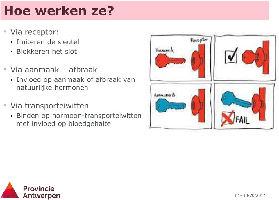 aanmaak afbraak Invloed op aanmaak of afbraak van