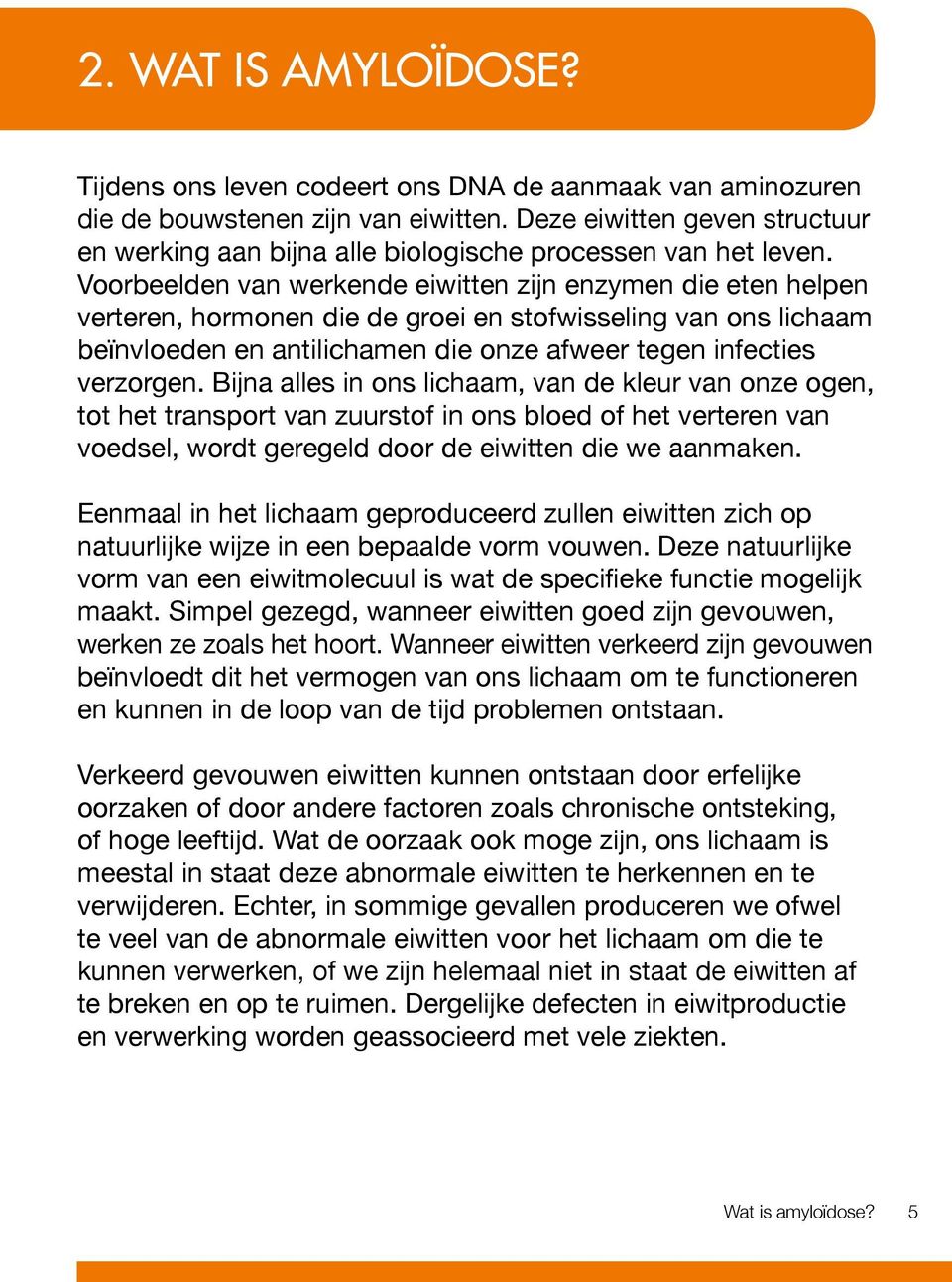 Voorbeelden van werkende eiwitten zijn enzymen die eten helpen verteren, hormonen die de groei en stofwisseling van ons lichaam beïnvloeden en antilichamen die onze afweer tegen infecties verzorgen.