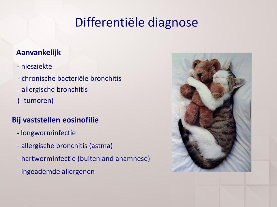 vaststellen eosinofilie - longworminfectie - allergische