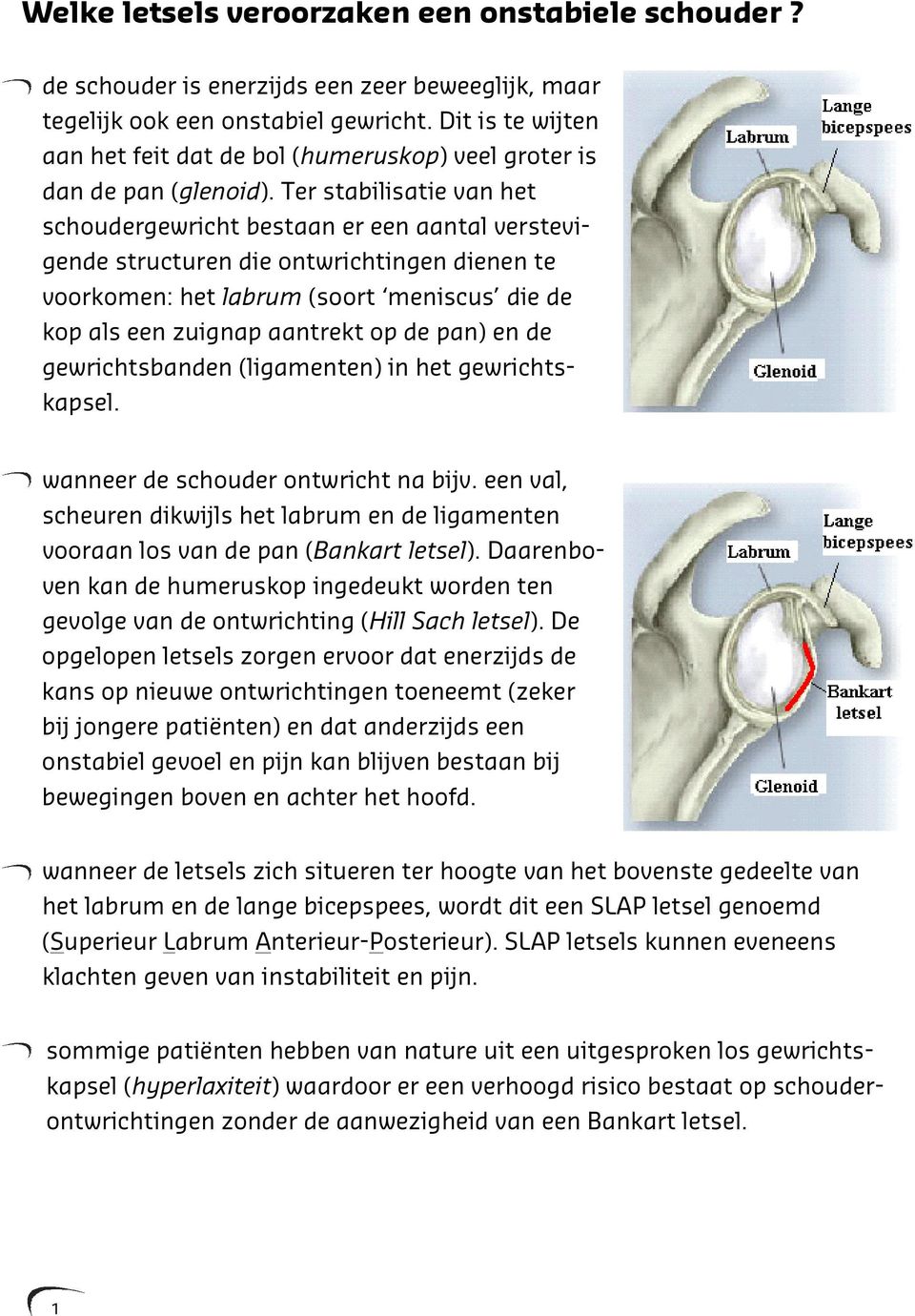 Ter stabilisatie van het schoudergewricht bestaan er een aantal verstevigende structuren die ontwrichtingen dienen te voorkomen: het labrum (soort meniscus die de kop als een zuignap aantrekt op de