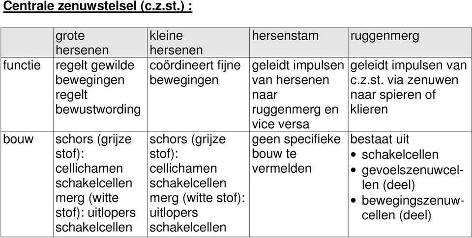 ) : functie bouw grote hersenen regelt gewilde bewegingen regelt bewustwording schors (grijze stof): cellichamen merg (witte stof):