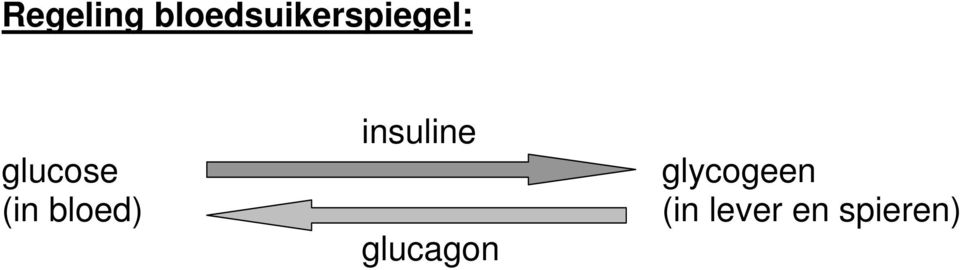 insuline glucose