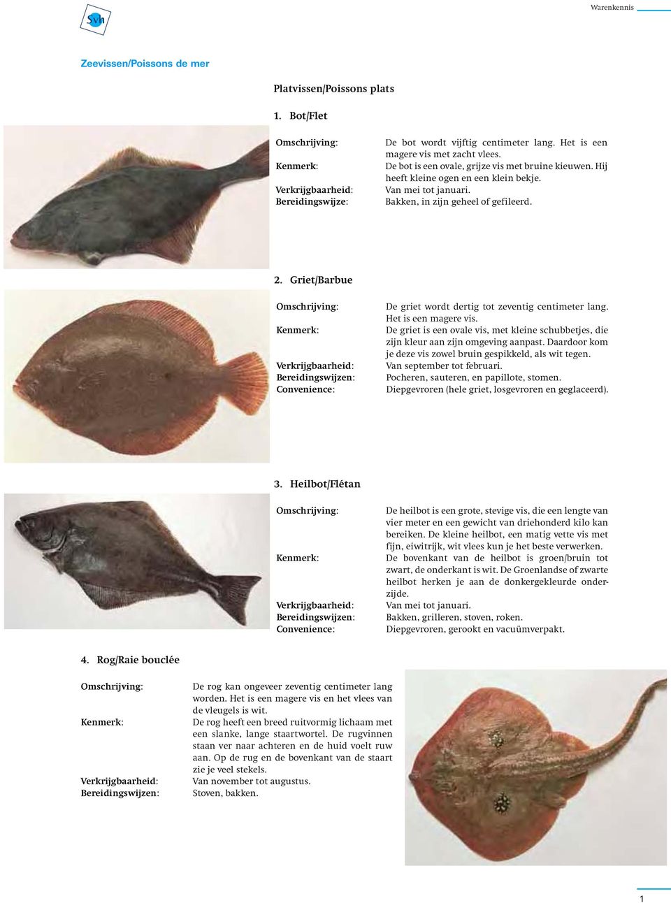 Griet/Barbue De griet wordt dertig tot zeventig centimeter lang. Het is een magere vis. De griet is een ovale vis, met kleine schubbetjes, die zijn kleur aan zijn omgeving aanpast.