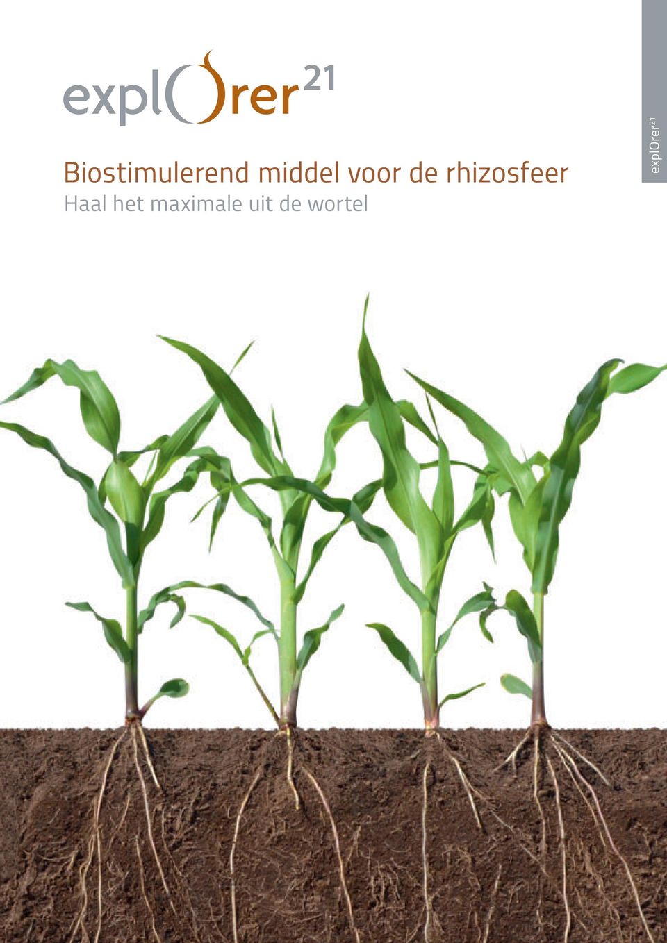 rhizosfeer Haal