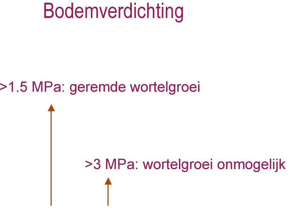 wortelgroei >3 MPa: