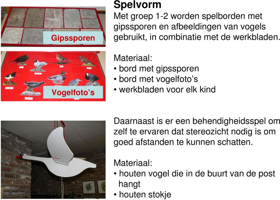 Materiaal: bord met gipssporen bord met vogelfoto s werkbladen voor elk kind Daarnaast is er een