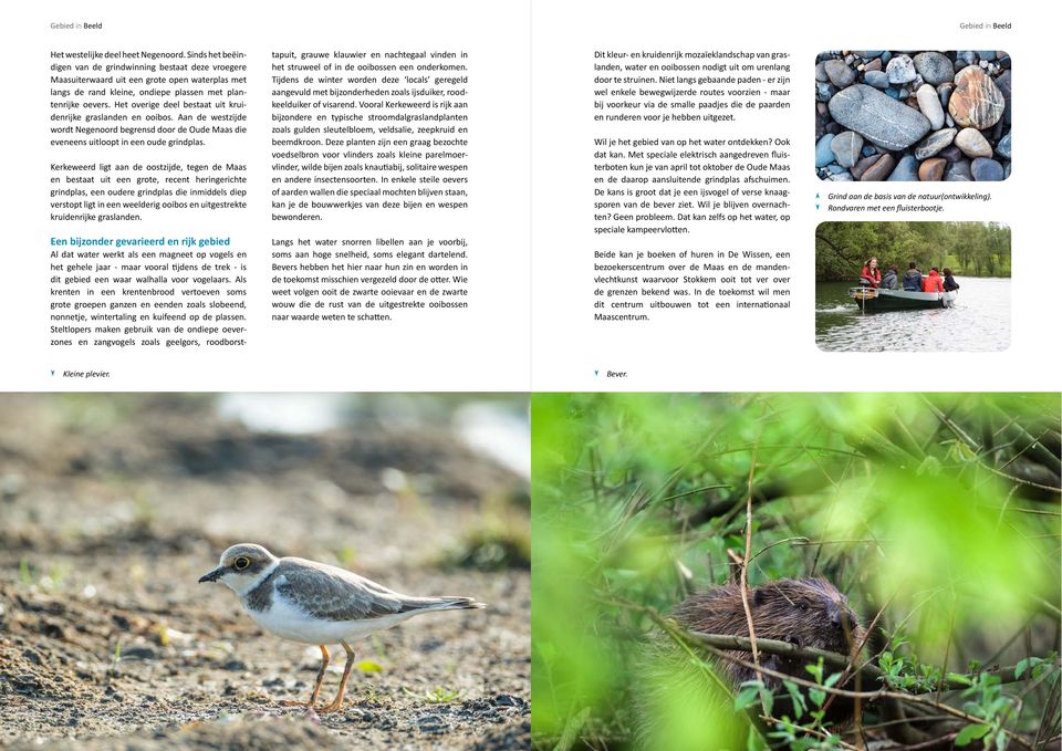 Het overige deel bestaat uit kruidenrijke graslanden en ooibos. Aan de westzijde wordt Negenoord begrensd door de Oude Maas die eveneens uitloopt in een oude grindplas.