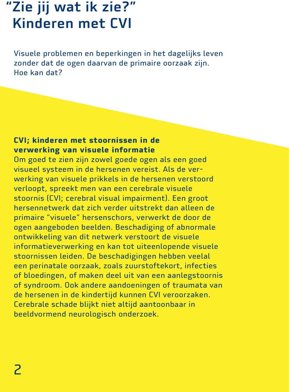 Als de verwerking van visuele prikkels in de hersenen verstoord verloopt, spreekt men van een cerebrale visuele stoornis (CVI; cerebral visual impairment).