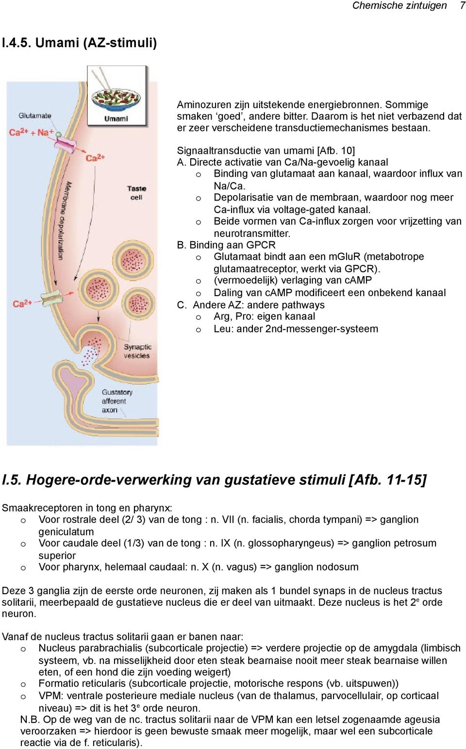 Directe activatie van Ca/Na-gevoelig kanaal o Binding van glutamaat aan kanaal, waardoor influx van Na/Ca. o Depolarisatie van de membraan, waardoor nog meer Ca-influx via voltage-gated kanaal.