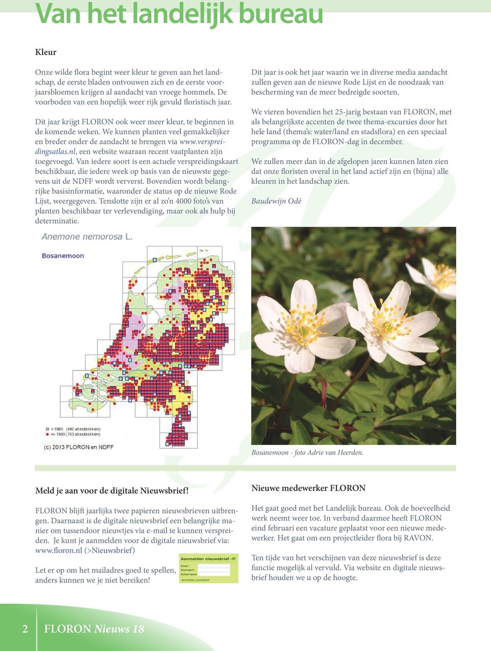 We kunnen planten veel gemakkelijker en breder onder de aandacht te brengen via www.verspreidingsatlas.nl, een website waaraan recent vaatplanten zijn toegevoegd.