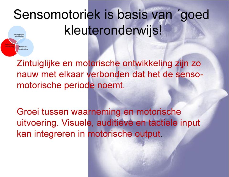 zijn zo nauw met elkaar verbonden dat het de sensomotorische periode noemt.