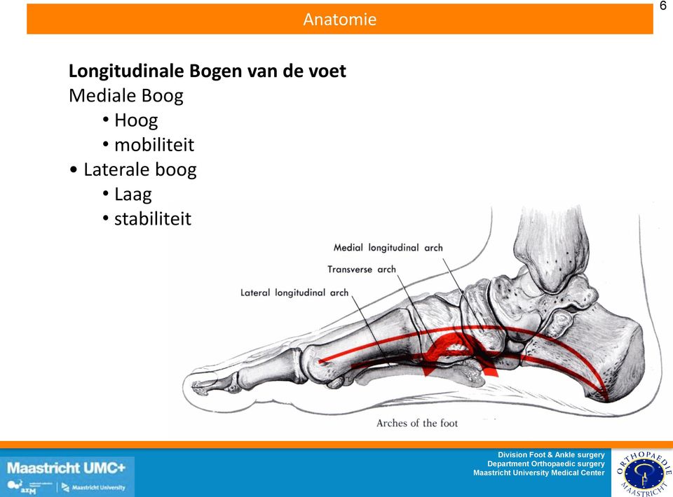 Boog Hoog mobiliteit