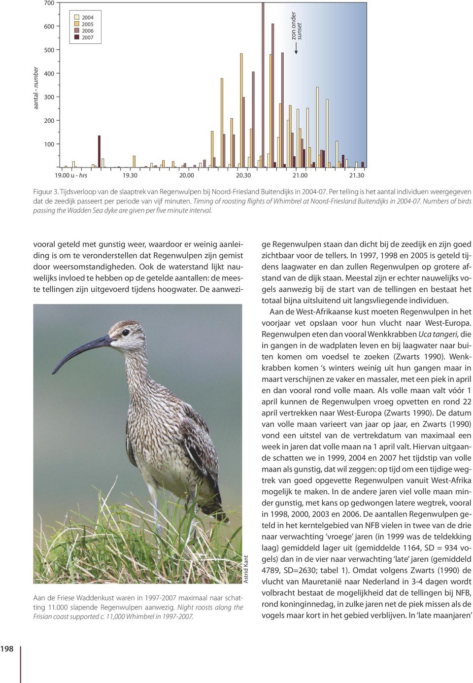 Timing of roosting flights of Whimbrel at Noord-Friesland Buitendijks in 2004-07. Numbers of birds passing the Wadden Sea dyke are given per five minute interval.