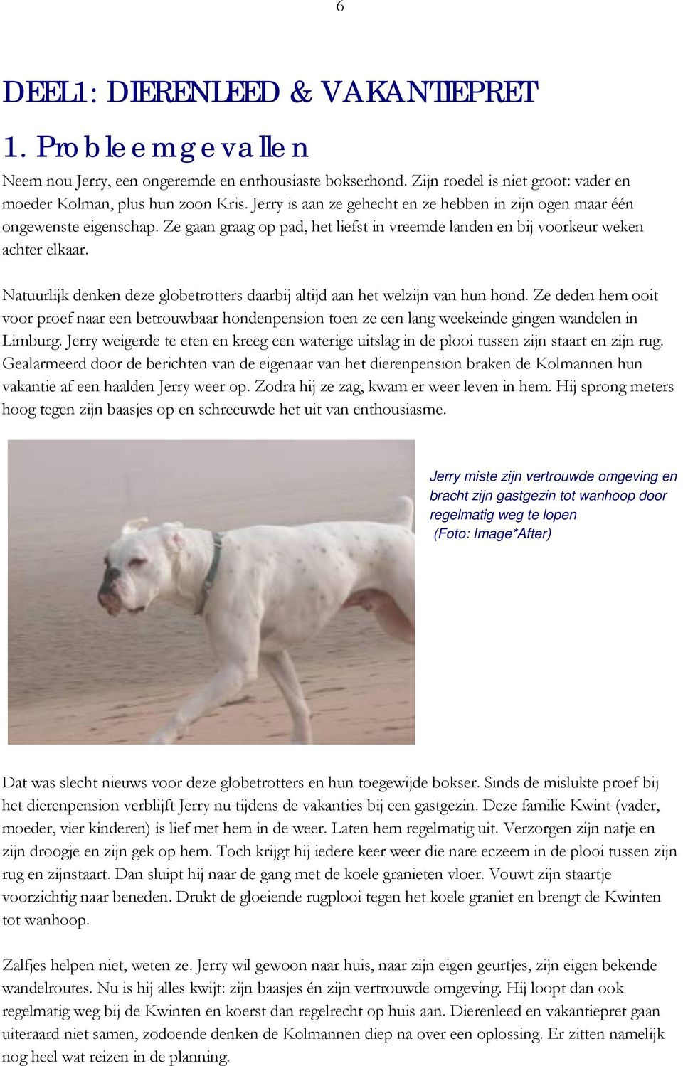 Natuurlijk denken deze globetrotters daarbij altijd aan het welzijn van hun hond. Ze deden hem ooit voor proef naar een betrouwbaar hondenpension toen ze een lang weekeinde gingen wandelen in Limburg.