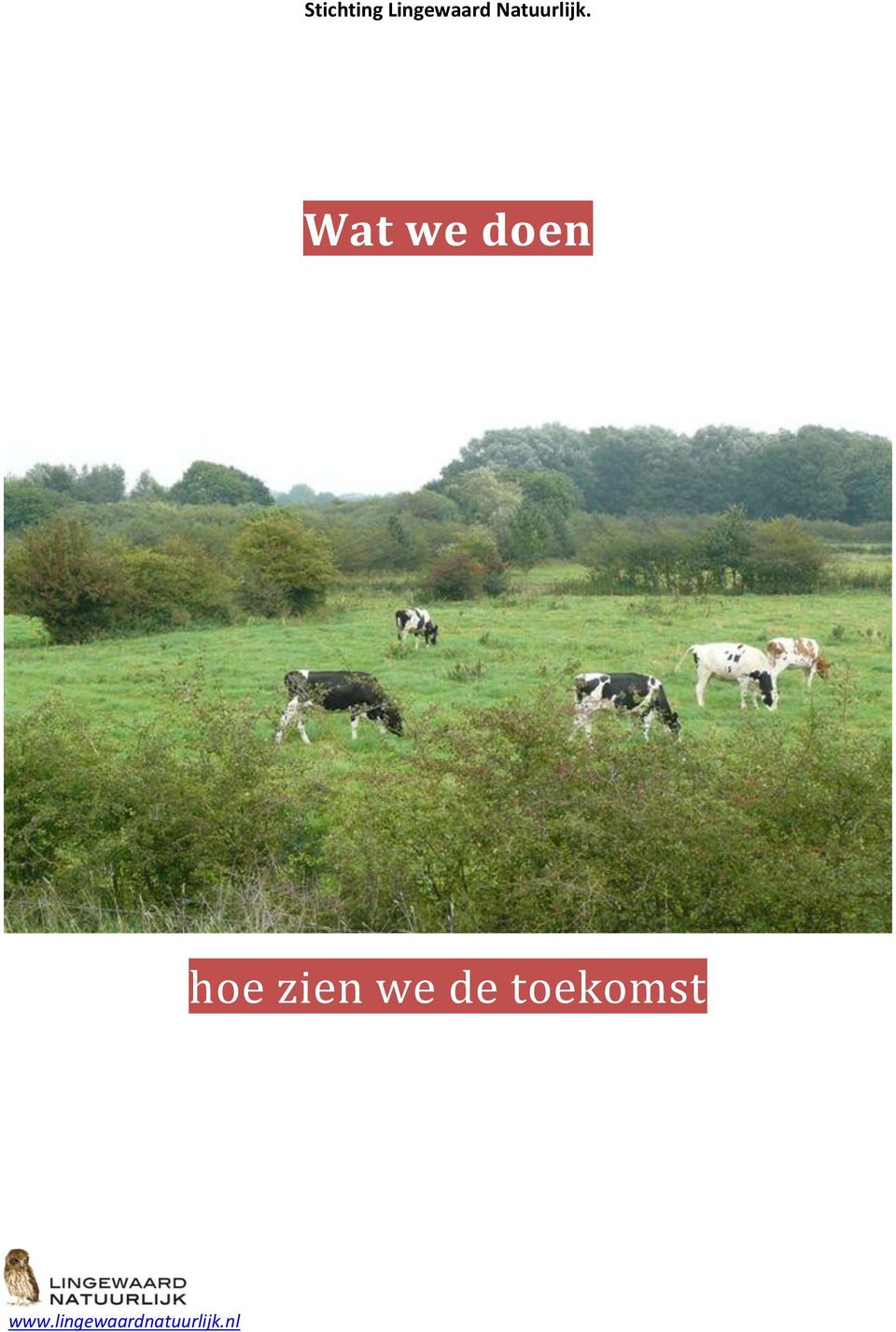 Wat we doen hoe zien we