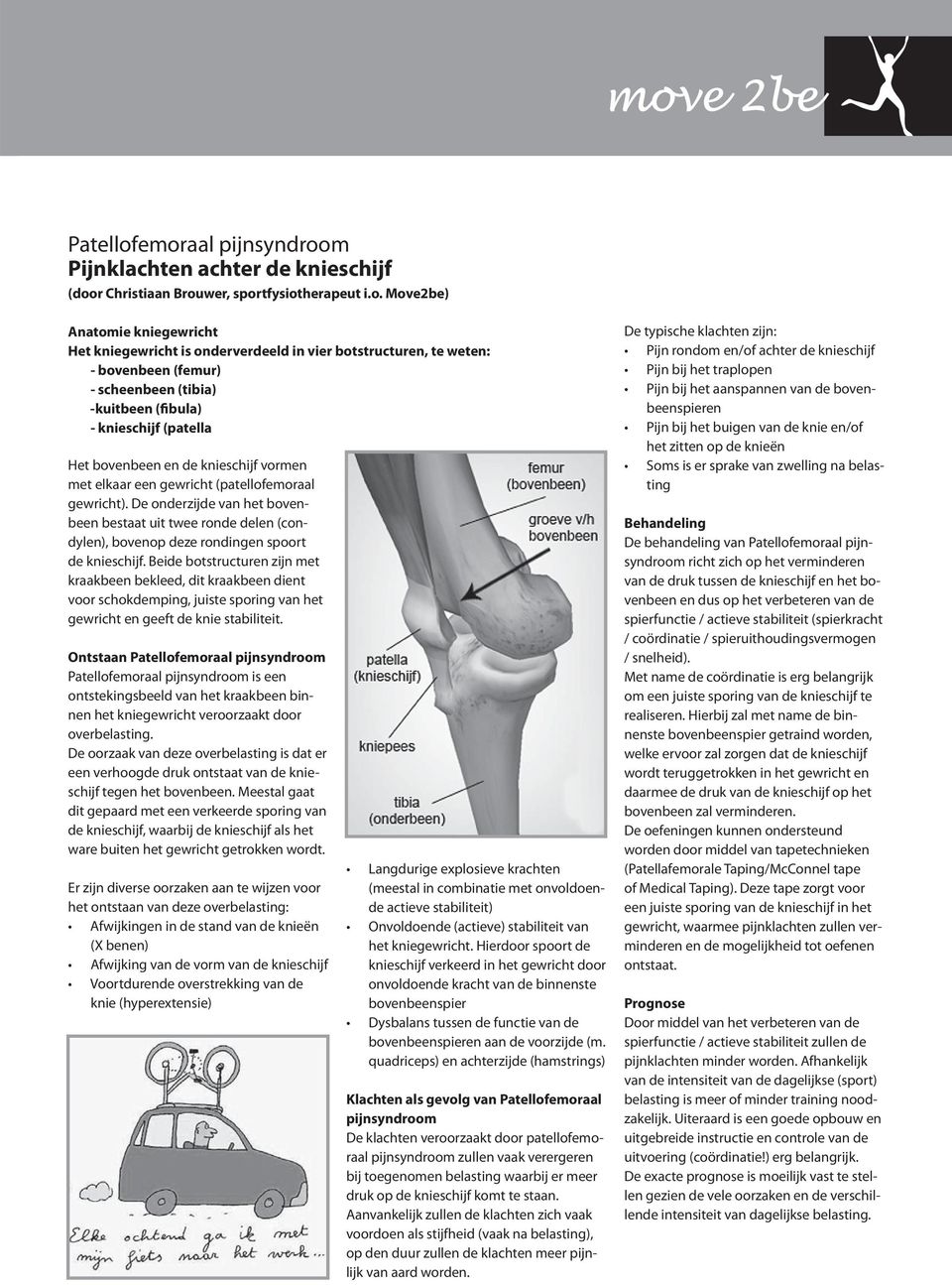 weten: - bovenbeen (femur) - scheenbeen (tibia) -kuitbeen (fibula) - knieschijf (patella Het bovenbeen en de knieschijf vormen met elkaar een gewricht (patellofemoraal gewricht).