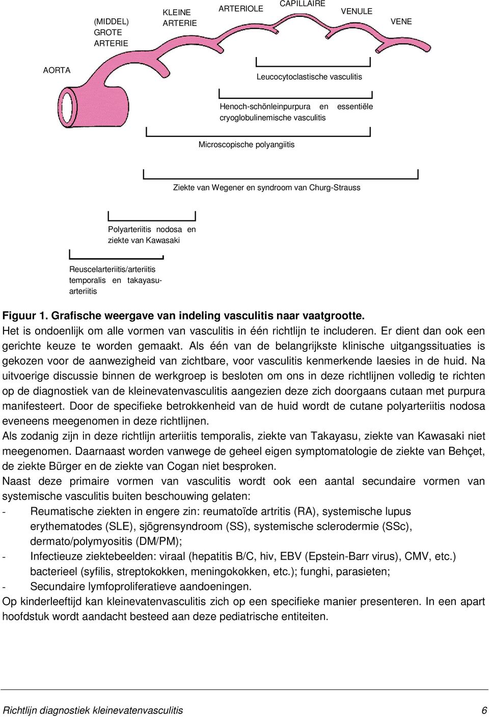 Reuscelarteriitis/arteriitis temporalis en takayasuarteriitis Takayasu arteritis Figuur 1. Grafische weergave van indeling vasculitis naar vaatgrootte.