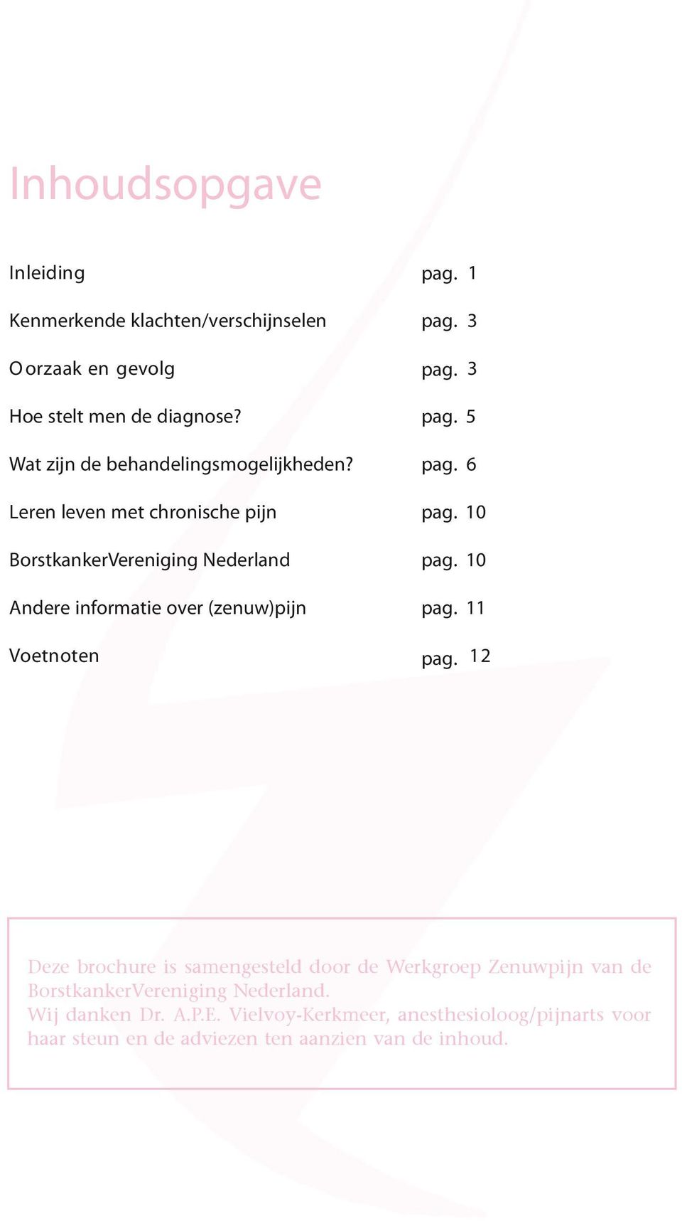 11 Voetnoten pag. 12 Deze brochure is samengesteld door de Werkgroep Zenuwpijn van de BorstkankerVereniging Nederland. Wij danken Dr.