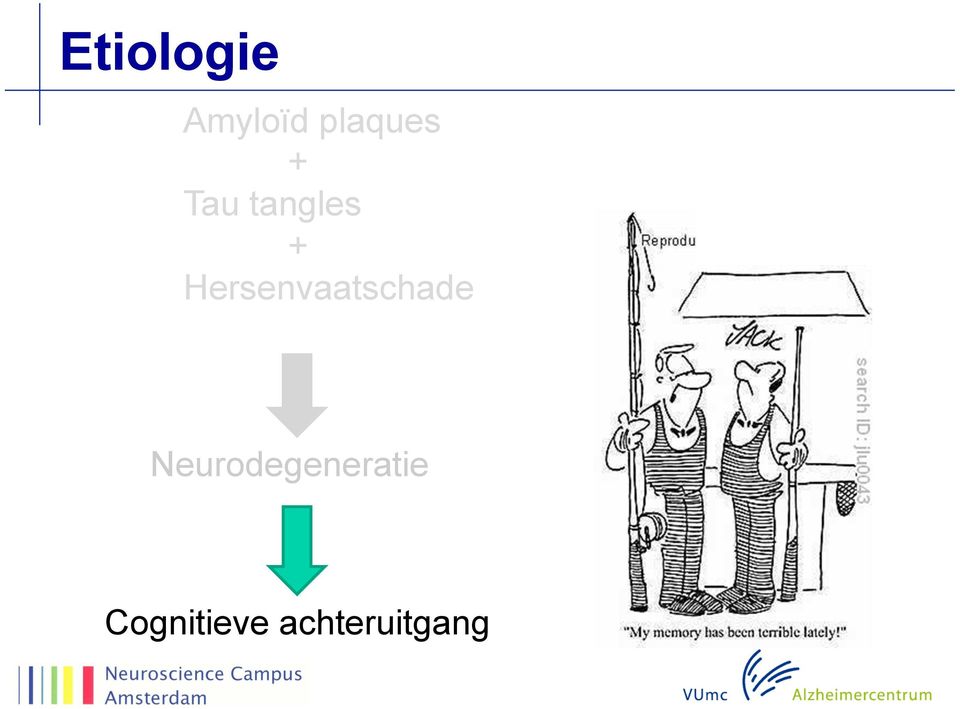 Hersenvaatschade