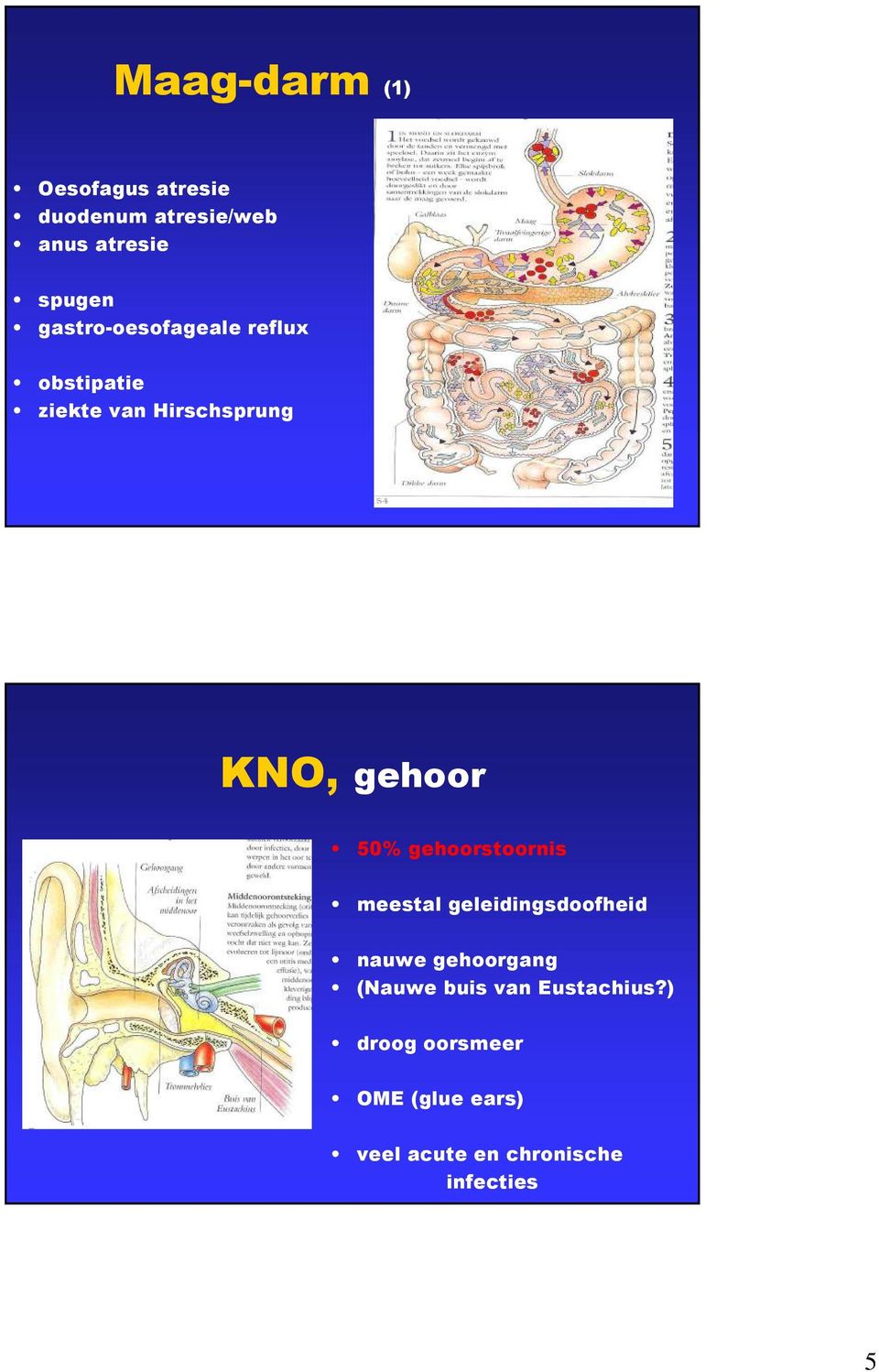 gehoorstoornis meestal geleidingsdoofheid nauwe gehoorgang (Nauwe buis van