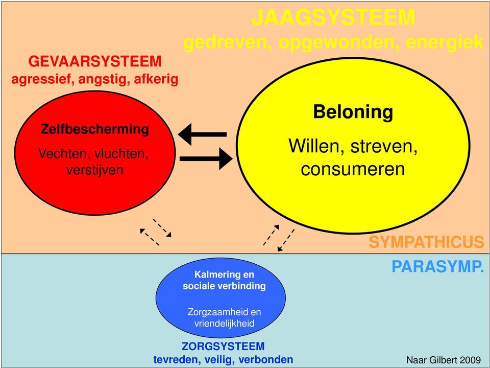 streven, consumeren Kalmering en sociale verbinding SYMPATHICUS PARASYMP.