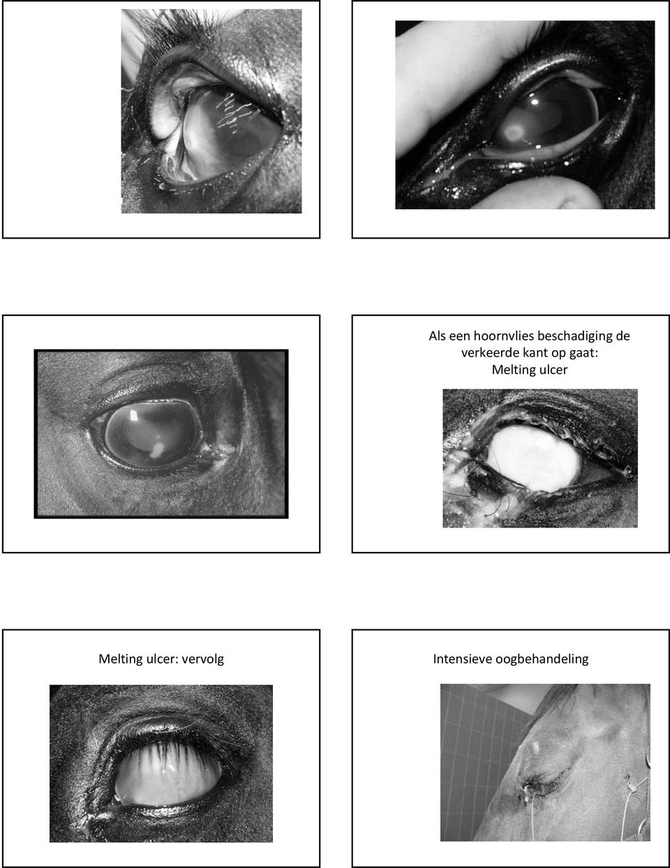 op gaat: Melting ulcer Melting