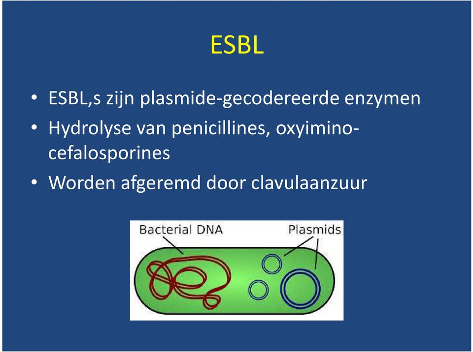 Hydrolyse van penicillines,