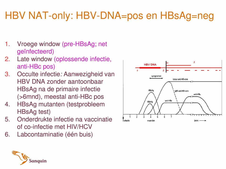 Occulte infectie: Aanwezigheid van HBV DNA zonder aantoonbaar HBsAg na de primaire infectie