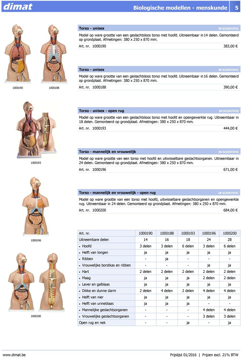 1000188 390,00 Torso - unisex - open rug Model op ware grootte van een geslachtsloos torso met hoofd en opengewerkte rug. Uitneembaar in 18 delen. Gemonteerd op grondplaat.