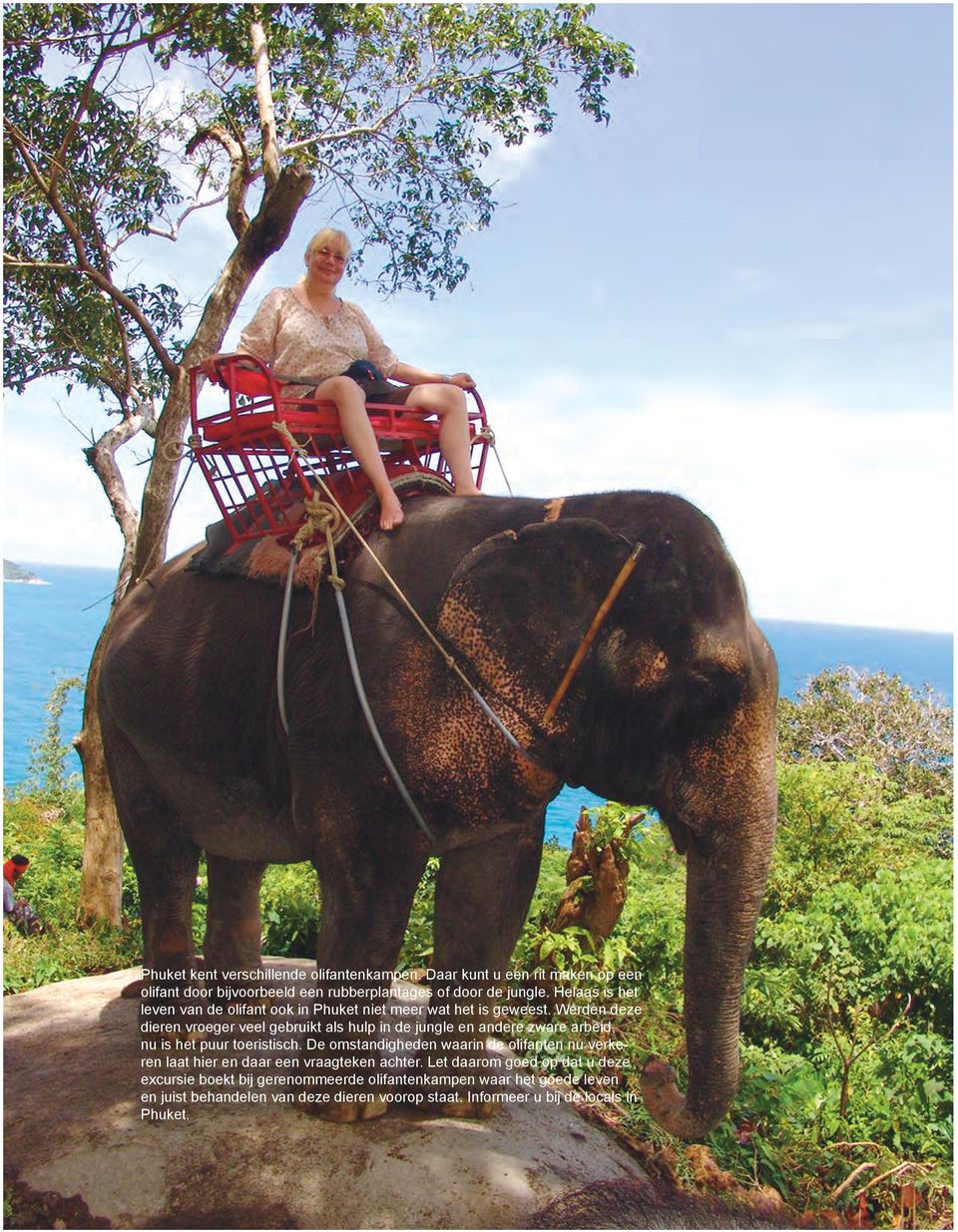 Helaas is het leven van de olifant ook in Phuket niet meer wat het is geweest.