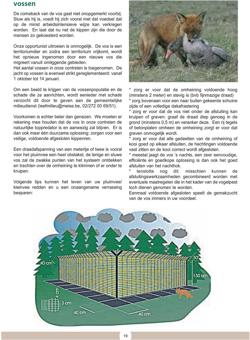 De vos is een territoriumdier en zodra een territorium vrijkomt, wordt het opnieuw ingenomen door een nieuwe vos die migreert vanuit omliggende gebieden.