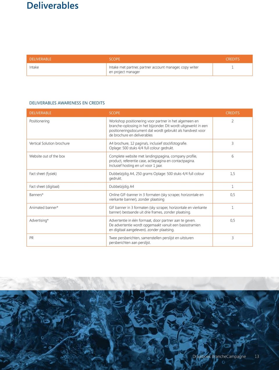 Dit wordt uitgewerkt in een positioneringsdocument dat wordt gebruikt als handvest voor de brochure en deliverables 2 Vertical Solution brochure A4 brochure, 12 pagina s, inclusief stockfotografi e.