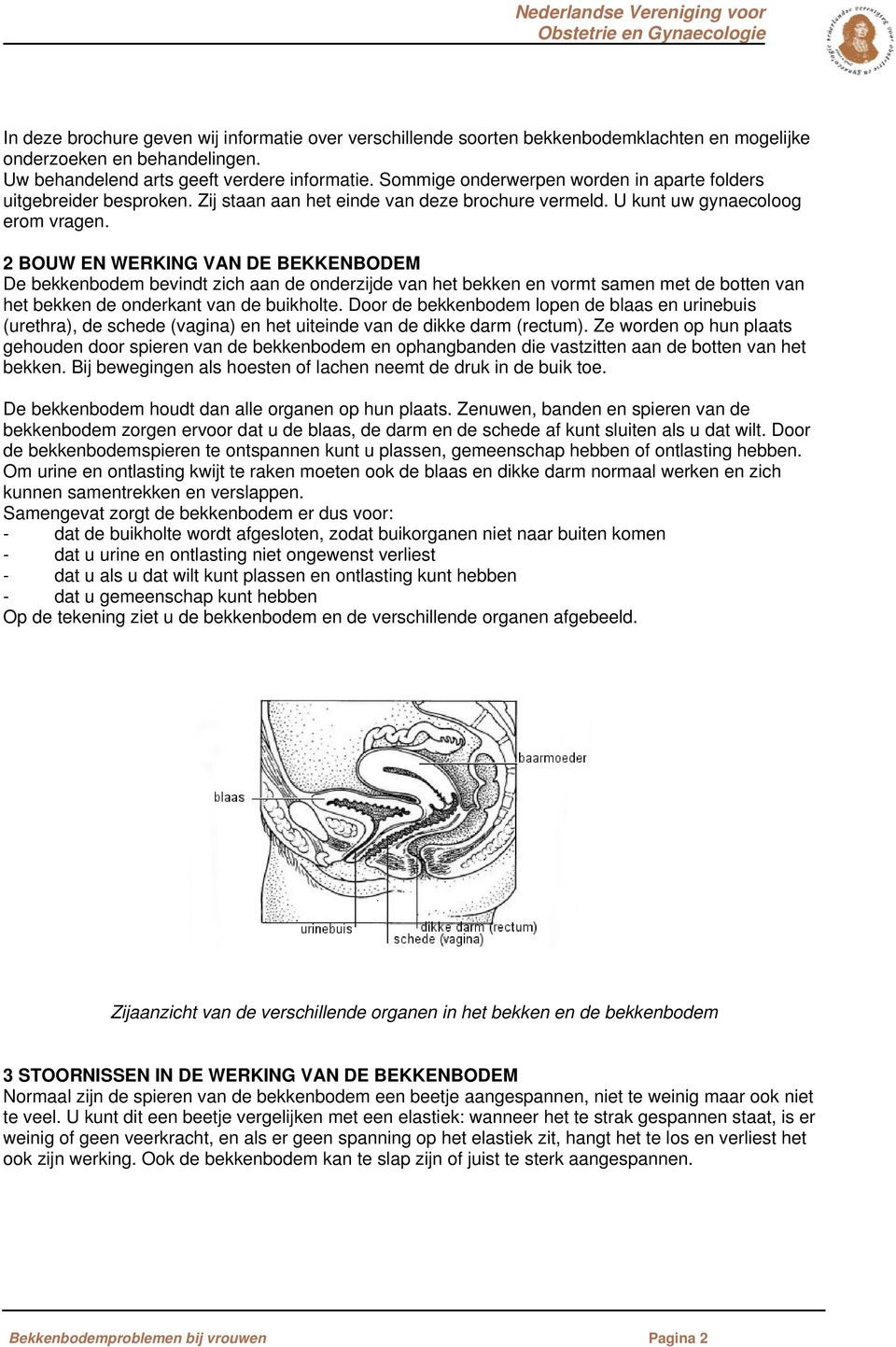 2 BOUW EN WERKING VAN DE BEKKENBODEM De bekkenbodem bevindt zich aan de onderzijde van het bekken en vormt samen met de botten van het bekken de onderkant van de buikholte.