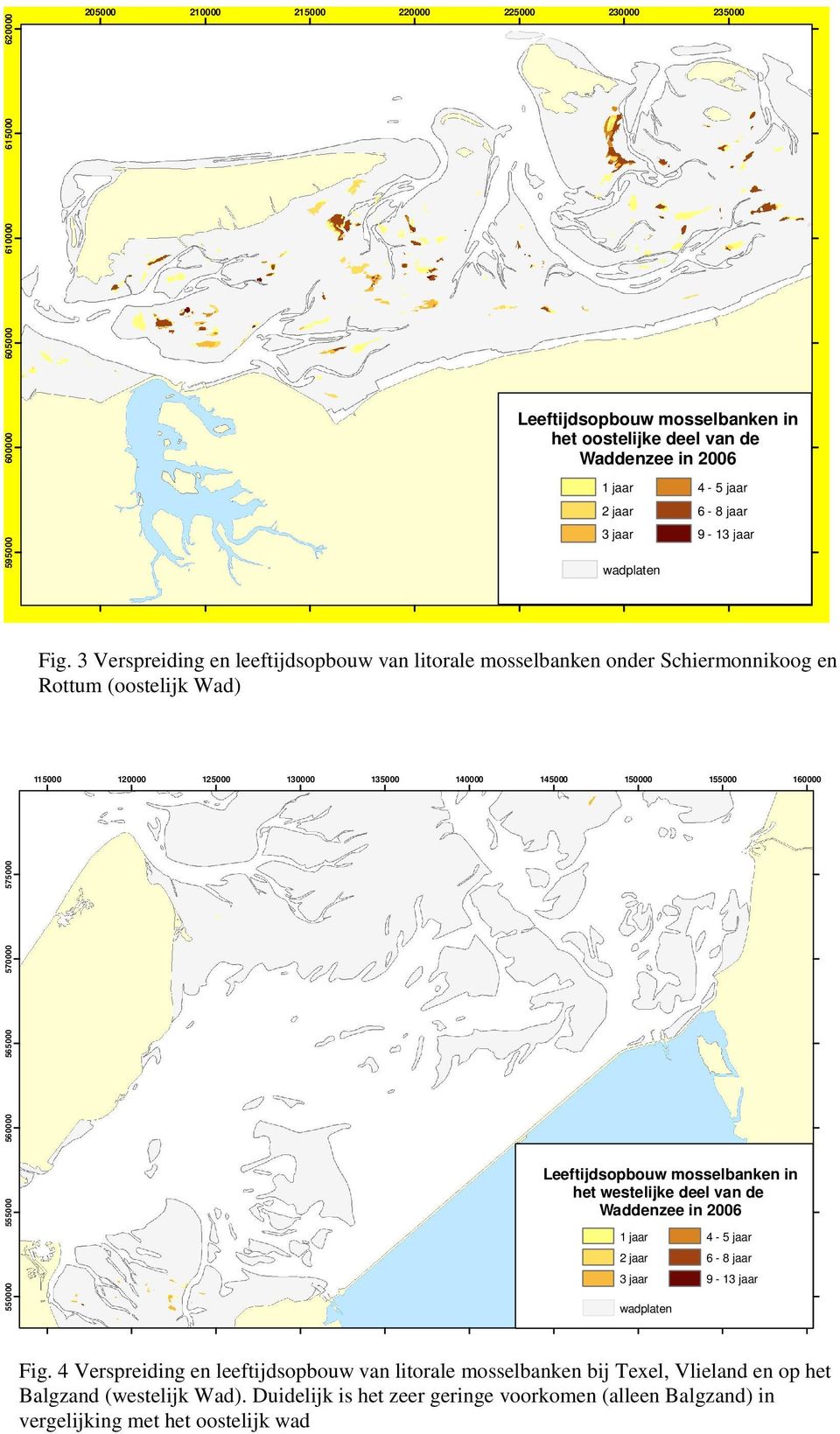 3 Verspreiding en leeftijdsopbouw van litorale mosselbanken onder Schiermonnikoog en Rottum (oostelijk Wad) 115000 120000 125000 130000 135000 140000 145000 150000 155000 160000 550000 555000 560000