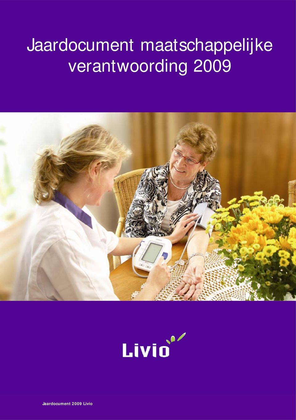 verantwoording 2009