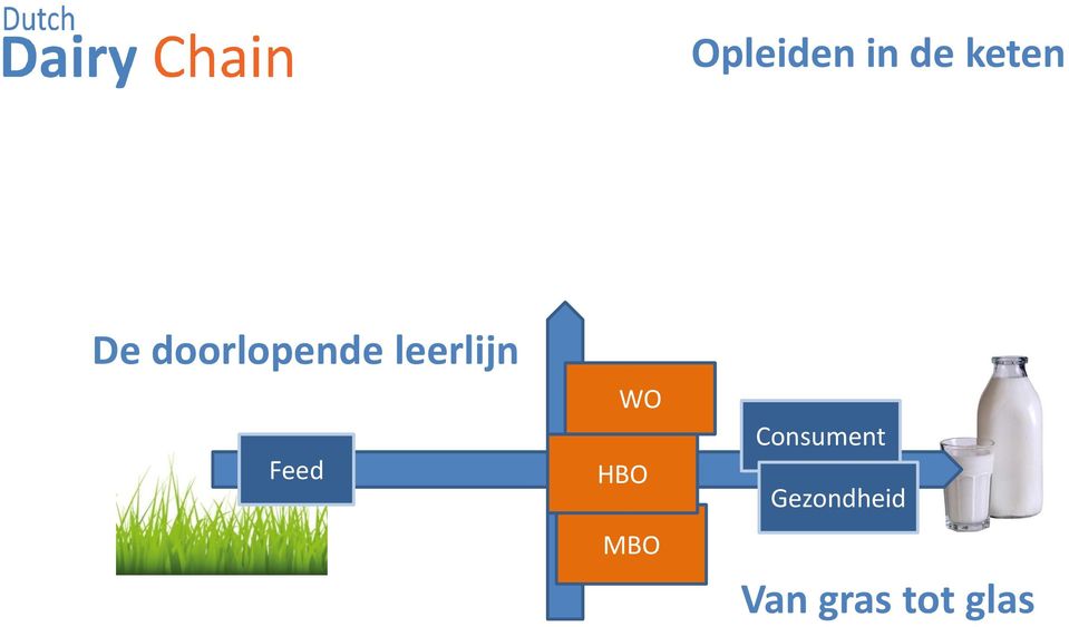 Feed WO HBO MBO