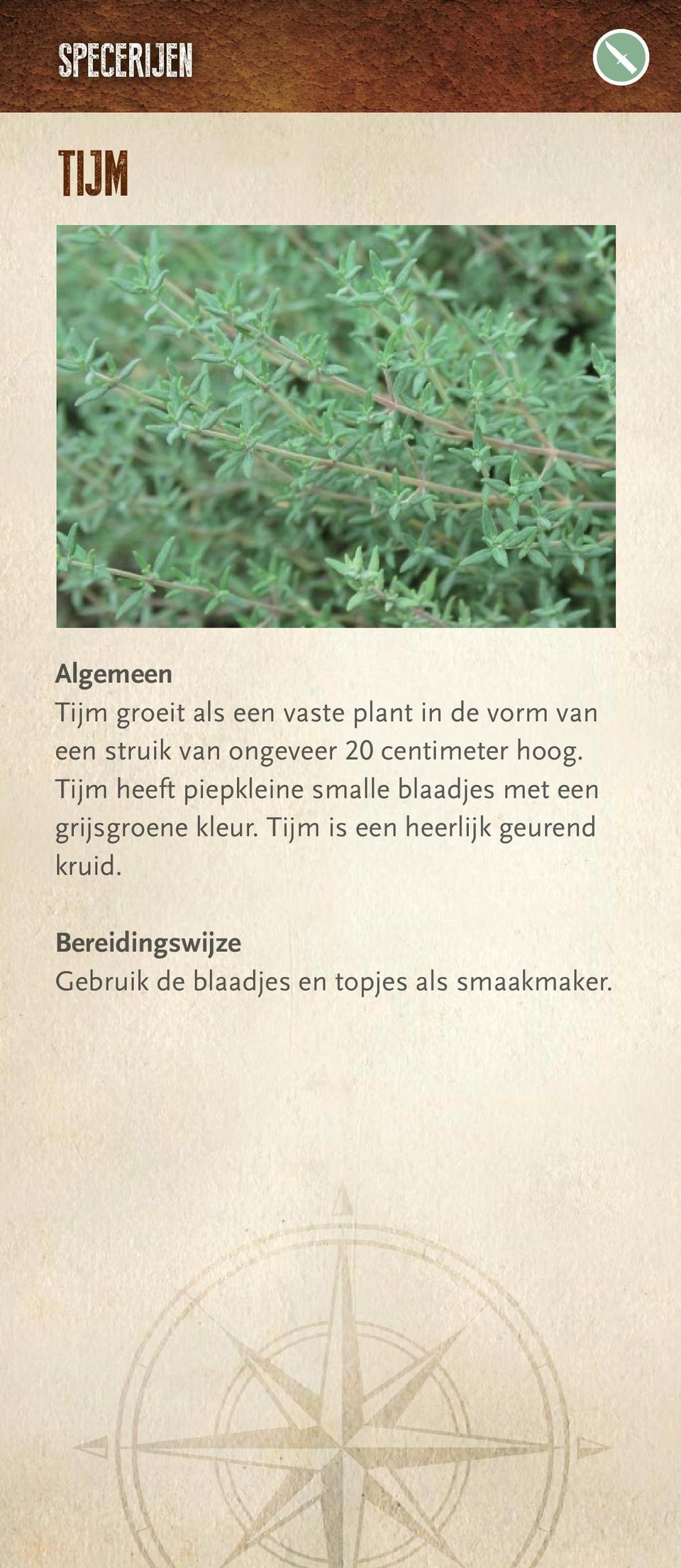 Tijm heeft piepkleine smalle blaadjes met een grijsgroene kleur.