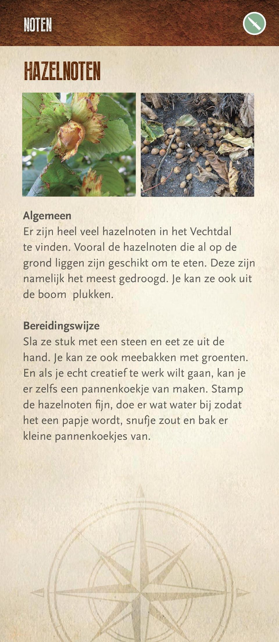 Je kan ze ook uit de boom plukken. Bereidingswijze Sla ze stuk met een steen en eet ze uit de hand.