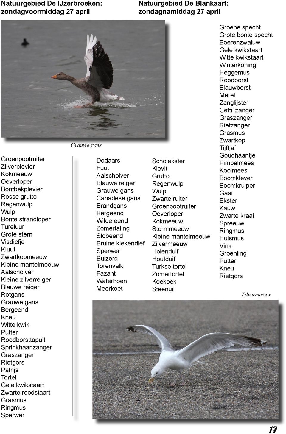 Roodborsttapuit Sprinkhaanzanger Graszanger Rietgors Patrijs Tortel Gele kwikstaart Zwarte roodstaart Grasmus Ringmus Sperwer Grauwe gans Dodaars Fuut Aalscholver Blauwe reiger Grauwe gans Canadese