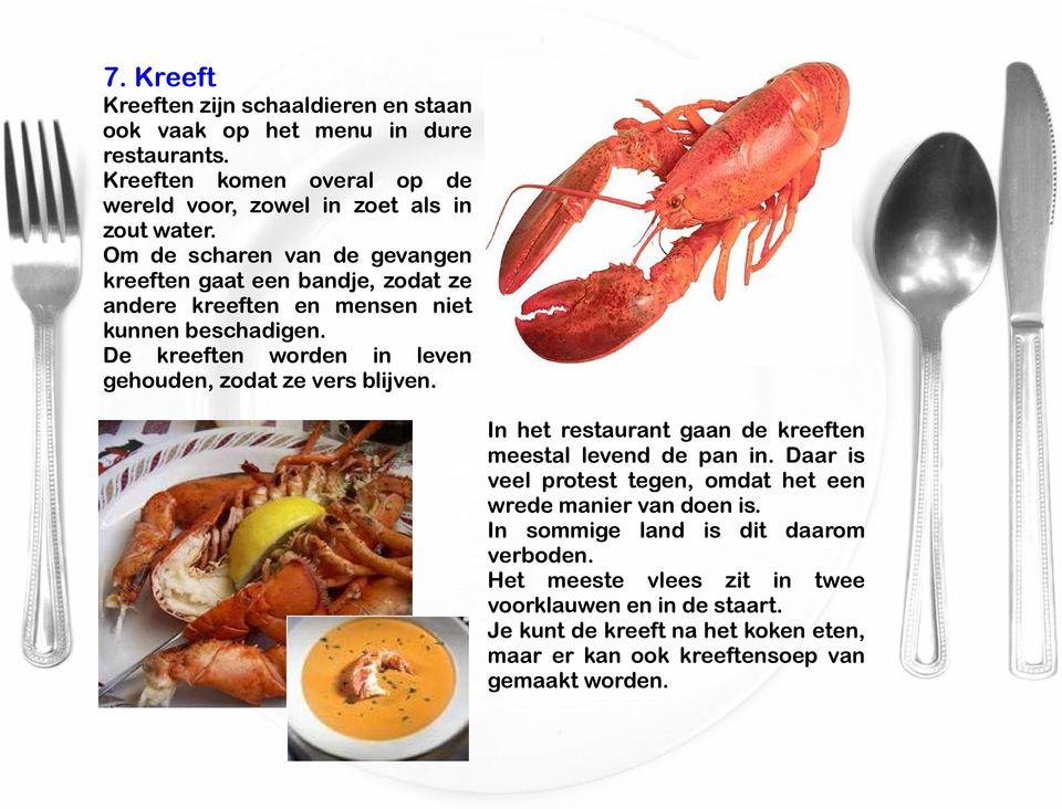 De kreeften worden in leven gehouden, zodat ze vers blijven. In het restaurant gaan de kreeften meestal levend de pan in.