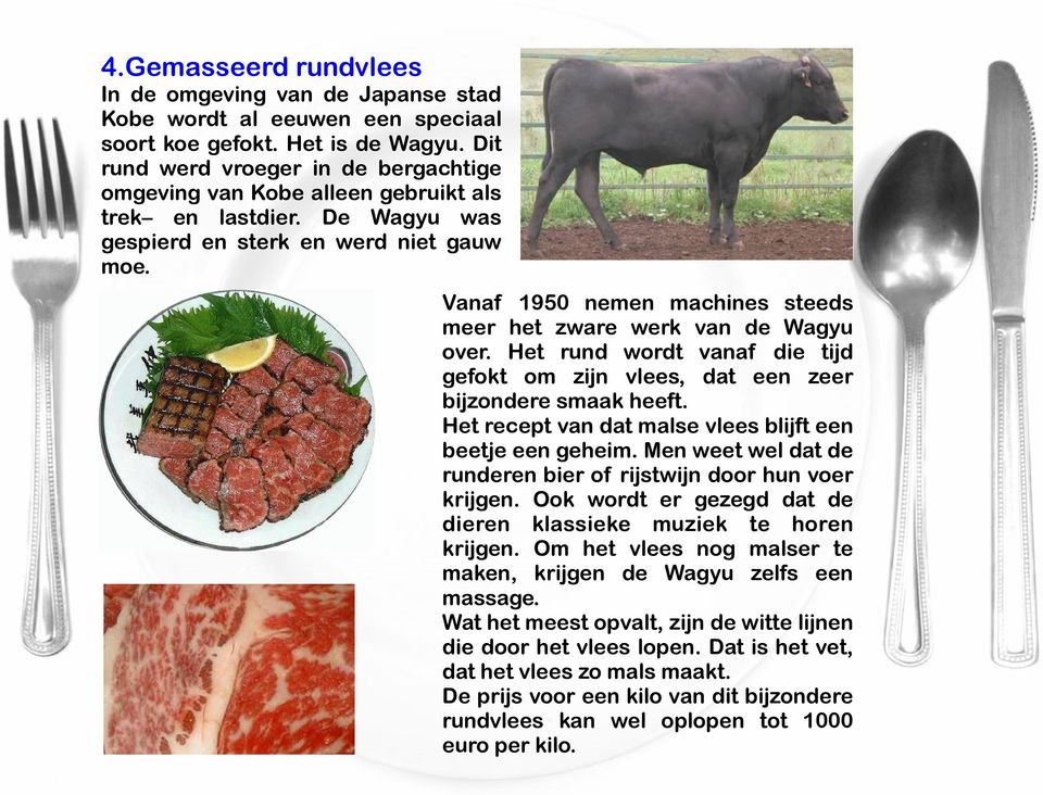 Vanaf 1950 nemen machines steeds meer het zware werk van de Wagyu over. Het rund wordt vanaf die tijd gefokt om zijn vlees, dat een zeer bijzondere smaak heeft.