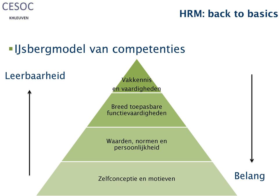 functievaardigheden Waarden, normen en